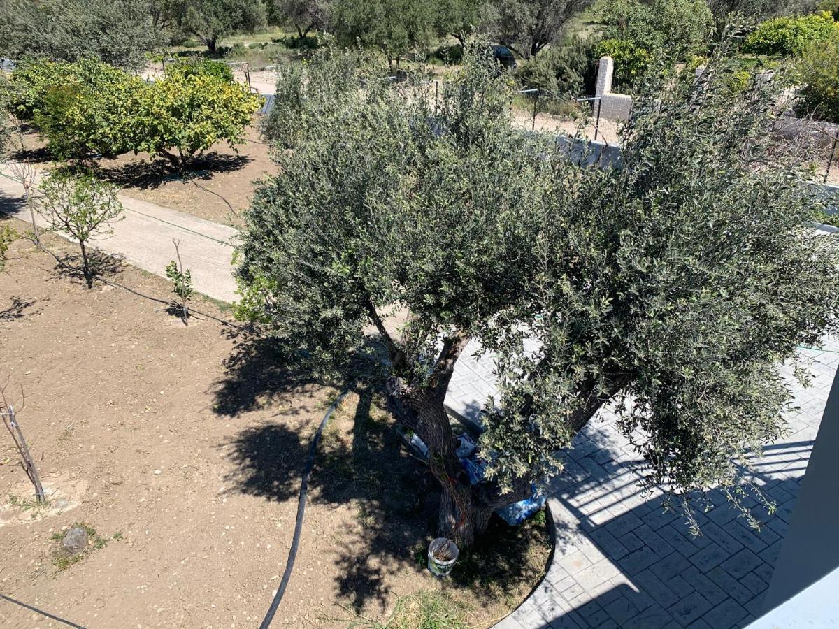Secret Edem Villa Kolymbia Exterior photo